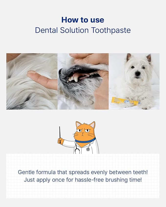 PETHROOM Pet Dental Toothpaste for Dogs & Cats – Fresh Breath & Plaque Control, Gentle Daily Dental Care – Melon Flavor, Net Wt 2.1 oz