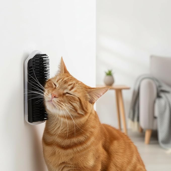 2 Pack Black Catnip Wall Massage Corner Brush for Long & Short Fur Cats and Kittens,C-at Self Groomer Scratcher, Soft Comb Cat Corner Brush,Wall Mounted Cats Scratcher