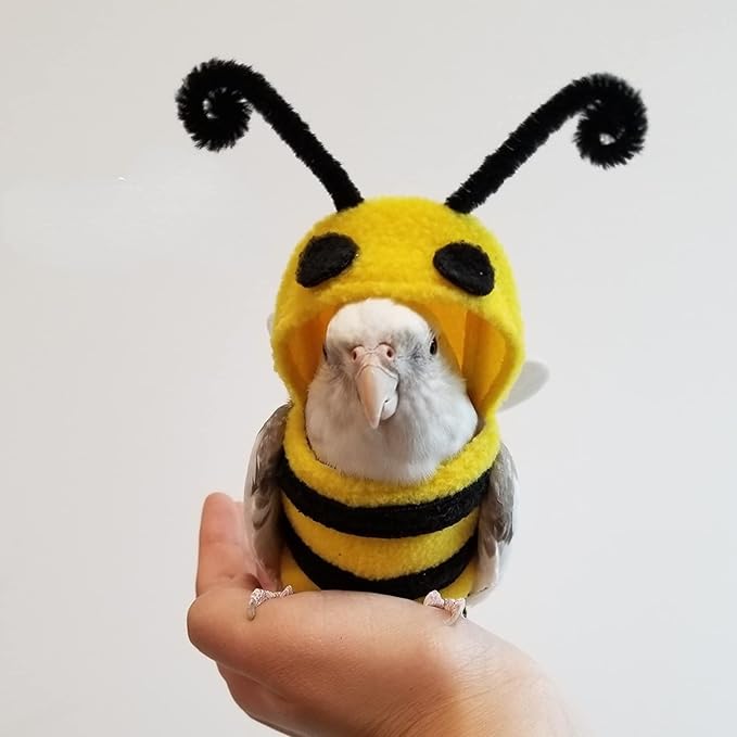 Bird Costume Diaper Flight Suit Bee Shape Hoodie Clothes Cosplay Photo Prop for Parrots Parakeet Cockatiel Sun Conure, Small Animals Apparel (Bee with Diaper, X-Large), Green (BPF1)