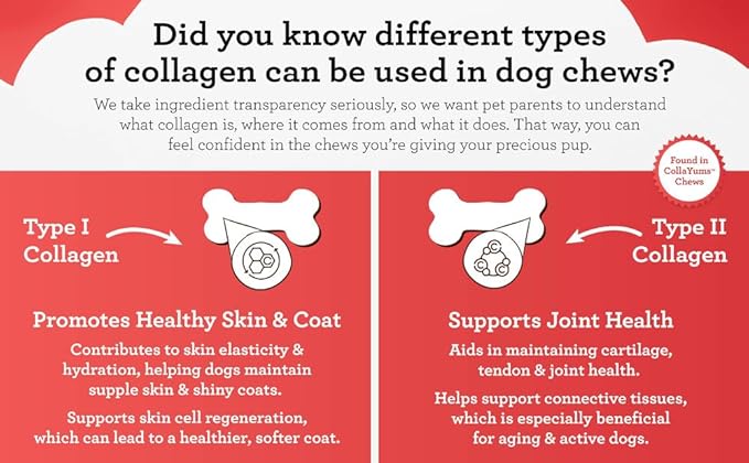 DreamBone CollaYUMS Twists Plus Collagen Chews for Dogs, 10 Count, Treat Your Dog to Rawhide-Free Chews Made with Chicken, Vegetables and Peanut Butter