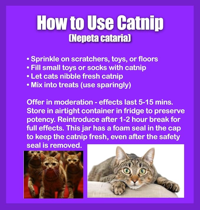 Catnip Seeds - Nepeta cataria for Planting, 2200+ Herb Seeds, Indoor or Outdoor Growing, Heirloom, Non-GMO, Cats Love Catnip Leaves. (Catnip Seeds, 1500mg)