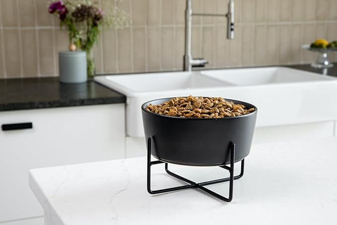 Waggo Elevated Dog Bowl with Stand – Raised Ceramic Dog Feeder or Water Bowl with Iron Stand, Small or Large Pet Bowl for Food & Water – Modern Dish (Small, Dolphin)