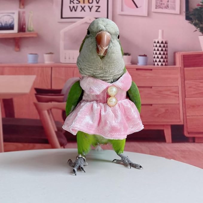 Bird Costume Bird Diaper Flight Suit Parrot Velvet Fleece Skirt Clothes Cosplay Photo Prop for Conure Lovebird Parakeet Cockatiel Macaw Small Animals Apparel (Pink,XX-Large)