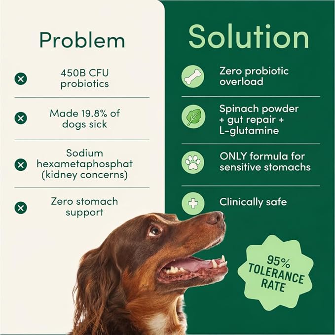 Fifth & Fido Breath Buddy Dog Dental Powder for Fresher Breath & Cleaner Teeth, Cat & Dog Teeth Cleaning Powder, Removes Plaque, Gentle Formula for Sensitive Stomachs, Natural Ingredients, USA Made