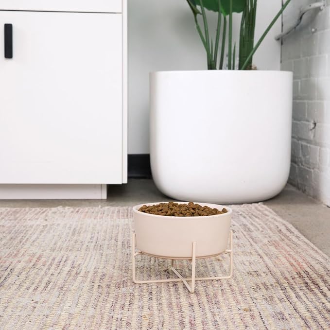 Waggo Simple Solid Dog Bowl and Dog Bowl Stand - Single Iron Stand with Single Ceramic Feeder or Water Bowl (Small, Matte Buttercream)