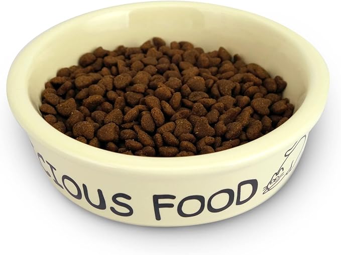TTcat Ceramic Cat Feeder, 5.1in Shallow Design Food Bowl, Small Pet Dishes for Cats, Kitten, Dishwasher Safe