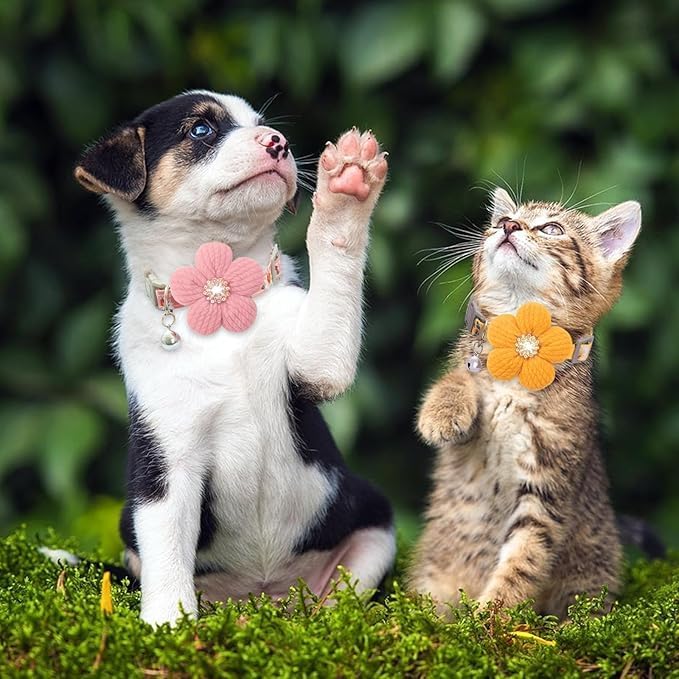 Cute Puppy Collar for Girl, 2 Pack Small Dog Collar with Flower XS Dog Collars for Female Dogs Floral Cat Collar with Bell Adjustable for Tiny Little XXS Extra Small Pets Kittens Dogs, XSmall