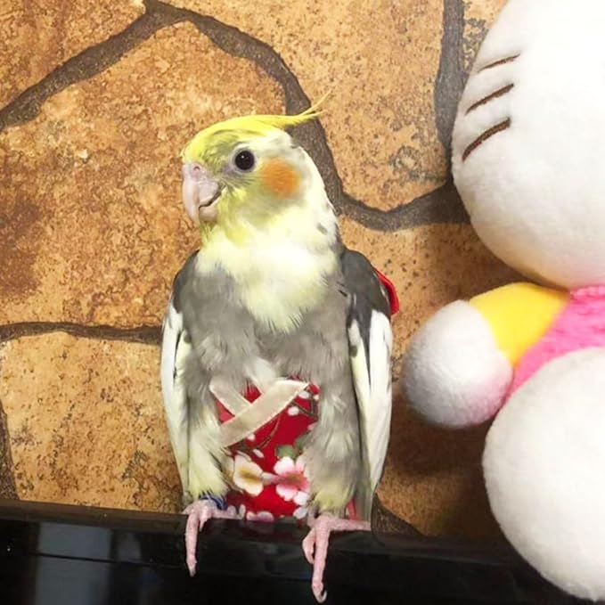Bird Flight Suits Diapers, Parrot Flight Suits Diapers for Quaker Parakeets Cockatiels Flight Suits, Parrot Clothes (Red,Macaw)