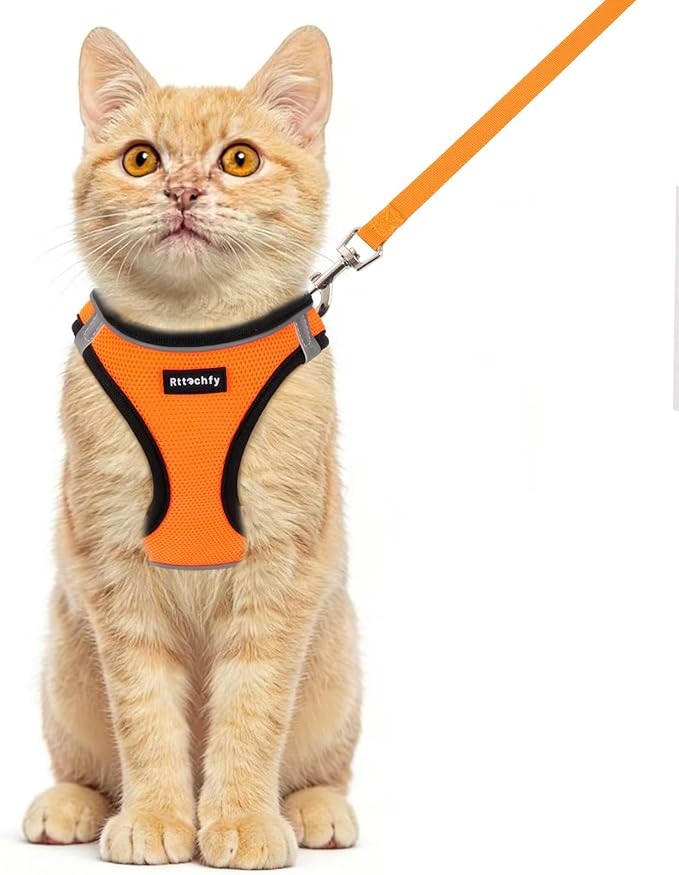 Rttochfy Cat Harness and Leash Set, Escape Proof Kitten Harness, Soft and Breathable Vest with Reflective Strip, Easy to Wear for Cats Walking and Traveling (BK Orange, M)