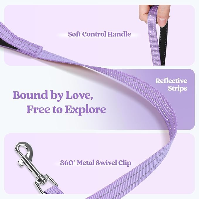rabbitgoo Dog Harness Small Sized and Leash Set, Step in Soft Light Puppy Vest, Breathable Mesh Pet Harness, Reflective for Safe Easy Walking, Light Purple S
