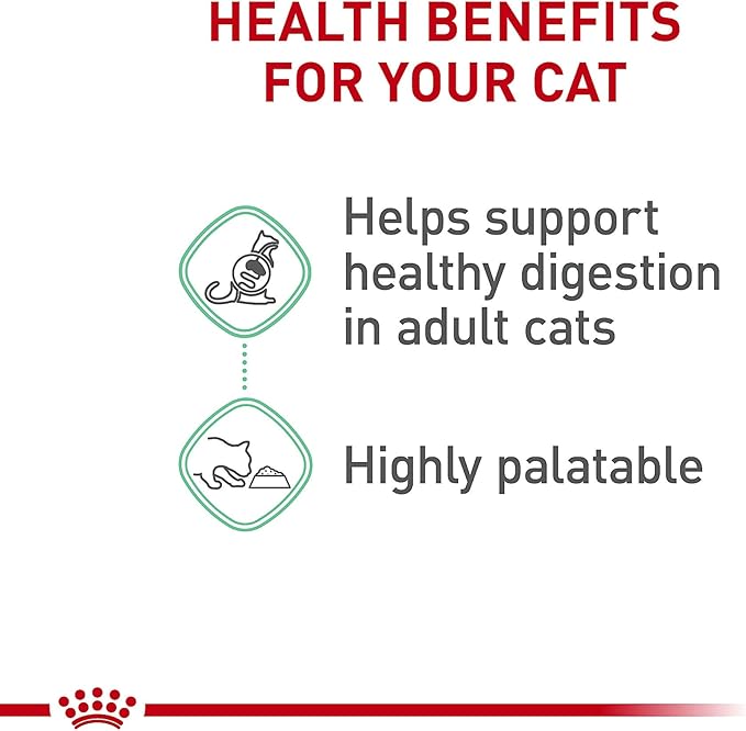 Royal Canin Feline Care Nutrition Digestive Care Adult Thin Slices in Gravy and Loaf in Sauce Cat Food, 3 oz (Pack of 12)