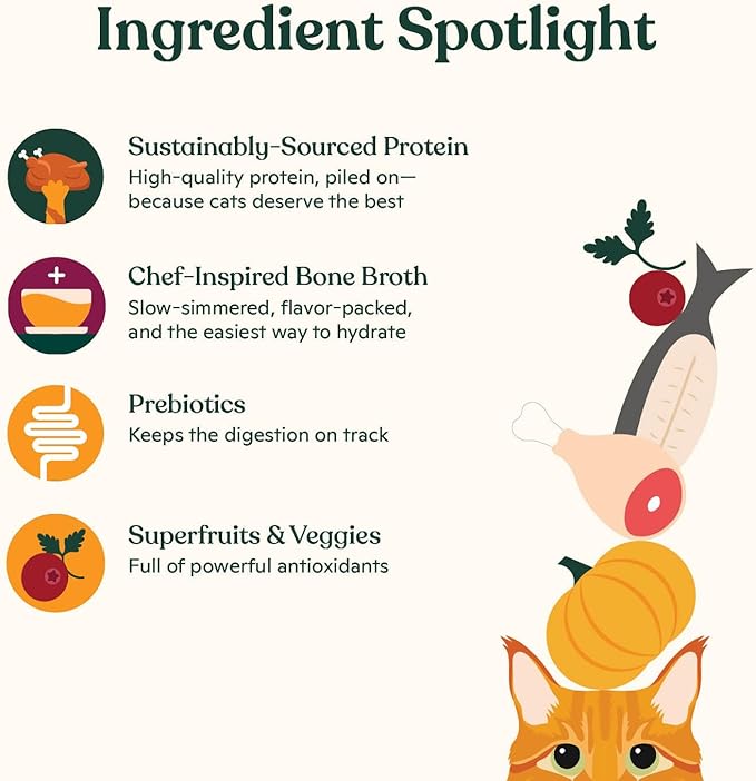 Made by Nacho Premium Minced Wet Canned Cat Food with Hydrating Bone Broth 5.5oz (12 Packs) (Variety Pack (Turkey & Turkey Liver, Chicken & Herring, and Salmon & Sole))