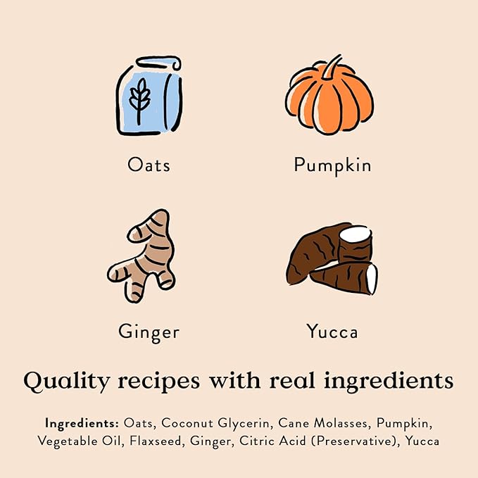 Bocce's Bakery Digestive Support Dog Treats,Wheat-Free Pumpkin Ginger,6 oz Bag,(Pack of 2)