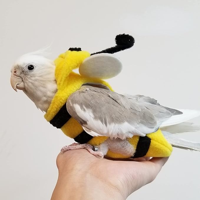 Bird Costume Diaper Flight Suit Bee Shape Hoodie Clothes Cosplay Photo Prop for Parrots Parakeet Cockatiel Sun Conure, Small Animals Apparel (Bee with Diaper, Small), Green (BPF1)