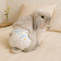 Leakproof Bunny Diapers – Disposable Pet Diaper for Rabbits, Great for Incontinence, Surgery, and Potty Accidents (Pack of 10/3 Pack,M Size (Recommended for 8-12 lbs))