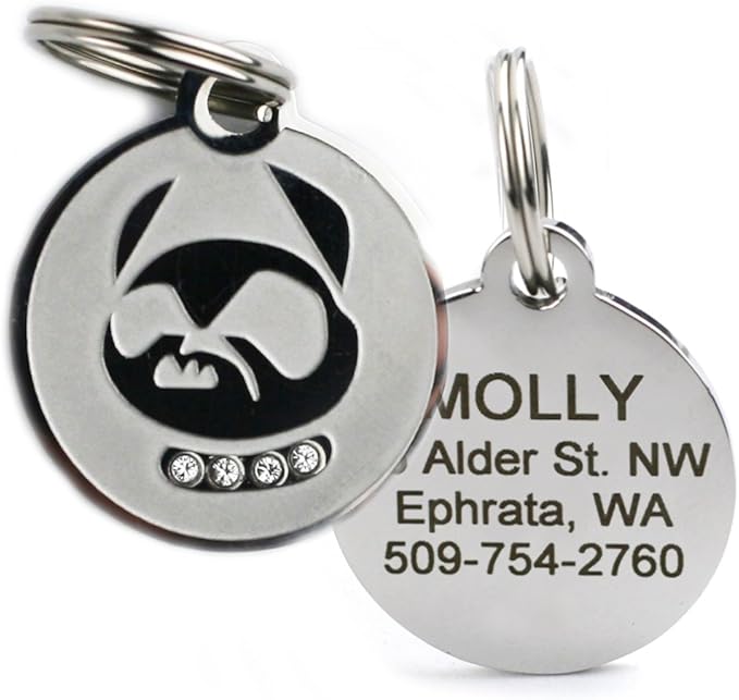 GoTags Designer Pet ID Tags in Stainless Steel for Dogs and Cats, Custom Engraved with 4 Lines of Personalized ID, Cute, Unique Pet Tags in Several Fun Designs