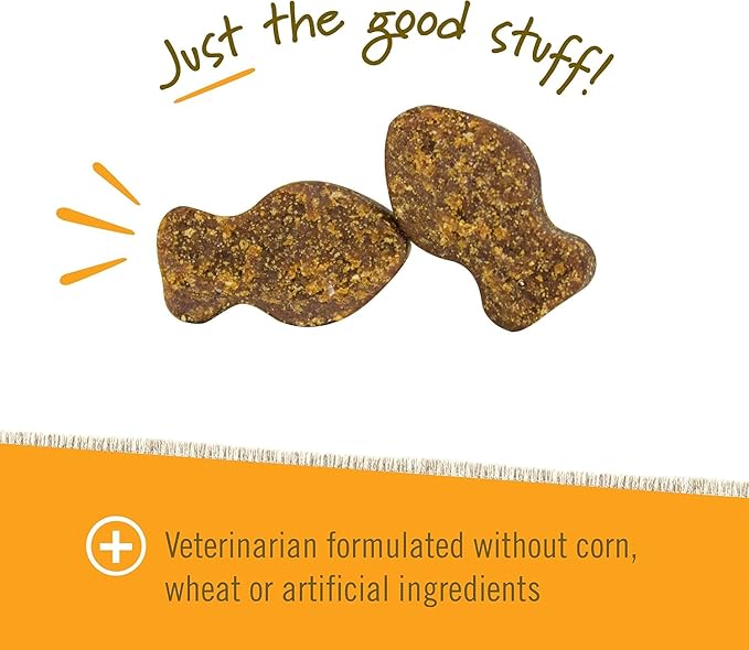 Pet Naturals Hip and Joint Supplement with Glucosamine, Green-Lipped Mussel, and Chondroitin for Cats, Duck Flavor, 160 Chews