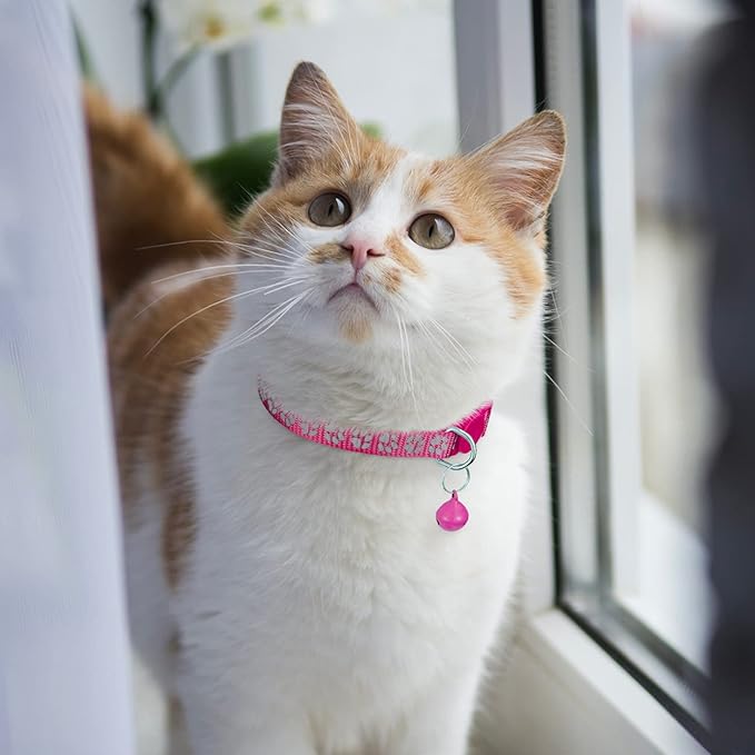 TagME 2 Pack Cat Collar with Name Tag, Personalized Reflective Cat Collar Breakaway with Bell for Boy & Girl Cats, Hot Pink