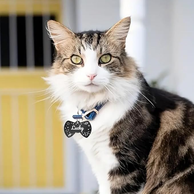 Personalized Dog Tags and Cat Tags, Stainless Steel Pet ID Tags, Collar Charm Engraved on Both Sides, up to 4 Lines of Custom Text, Various Patterns and Colors Options (Bowtie)