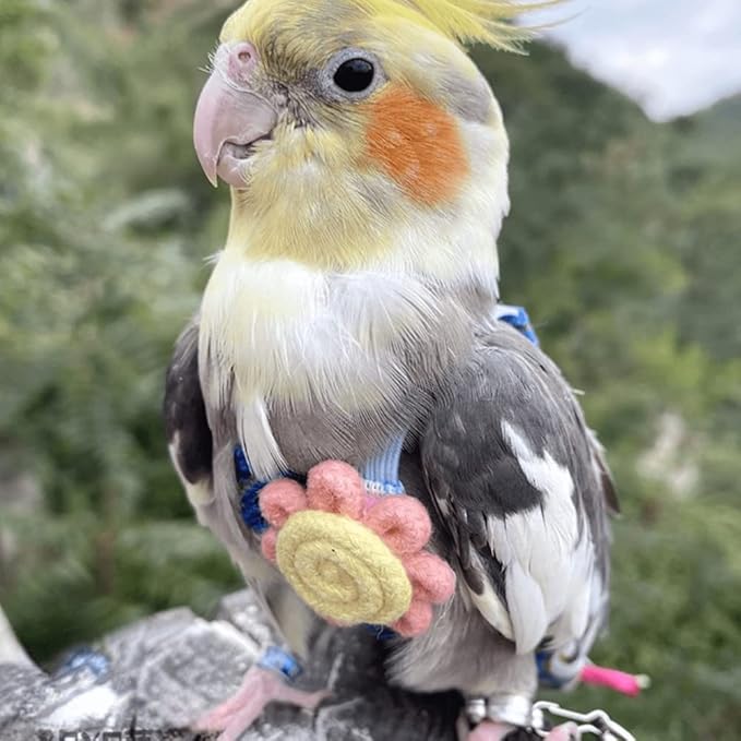 Bird Diaper Harness Flight Suit Clothes with Flying Leash for Parrots Cockatiel Pet Birds, Parrot Clothes, Bird Training Nappy Suit Liners Clothes (Small,Blue)