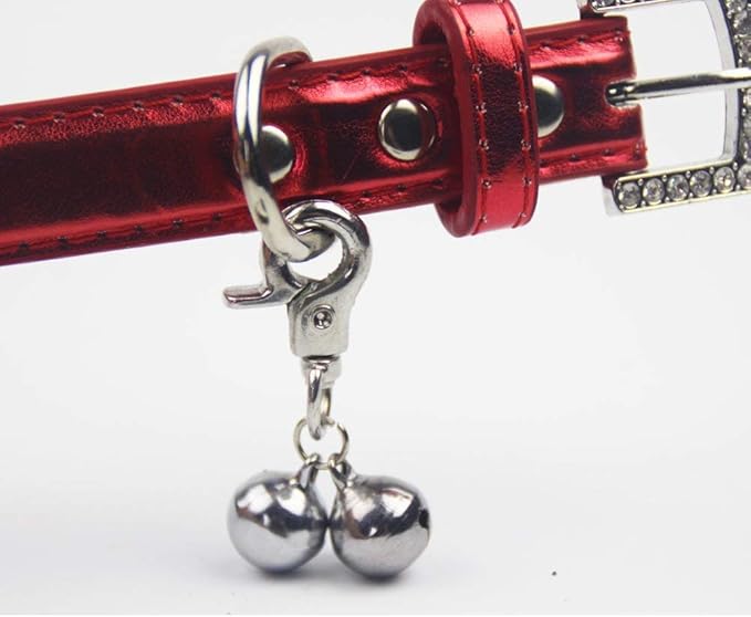 EXPAWLORER Cat Bell 2 Pack - Cat Collar Accessories Bells Loud with Claw Buckle, Pet Jingle Charm Ornament Training Pendant Jewelry, Tracker for Saving Birds, Neck Decoration for Dogs Kitten, Silver