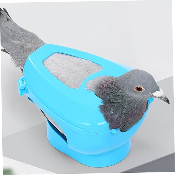 BESTonZON 2pcs Pigeon Injection Holder Feeding Stand for Easy Medicine Application Fixed Mount for Pigeons for Pet Bird Care
