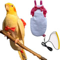 Bird Diaper Harness Flight Suit Clothes with Flying Leash for Parrots Cockatiel Pet Birds, Parrot Clothes, Bird Training Nappy Suit Liners Clothes (S, Silver)