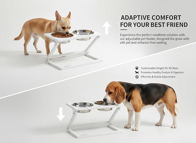 Elevated Dog Bowls, Adjustable Raised Dog Bowl Stand with 2 Stainless Steel Food Bowls 20°Tilted Water Bowls for Small Sized Dogs and Cats (White, Small)