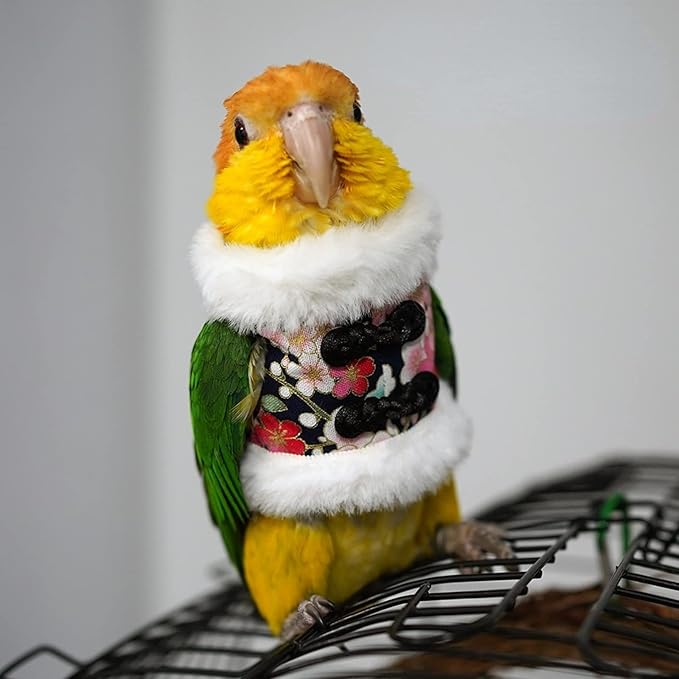 Bird Costume Bird Flight Suit Bird Clothes Cosplay Photo Prop for Parrots Parakeet Cockatiel Sun Conure, Bird Hoodie Small Animals Apparel (Black, Medium)