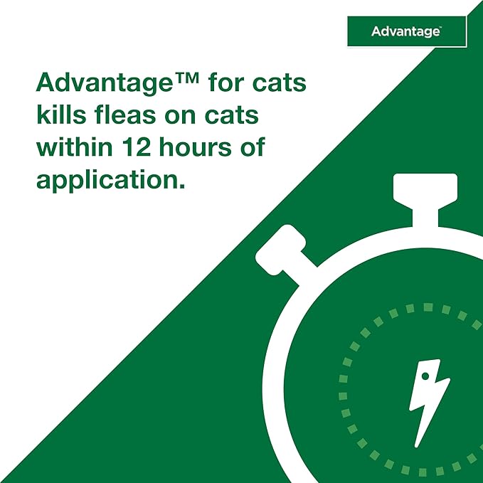 Advantage Topical Cat Flea Treatment and Prevention for Small Cats 2-9 lbs. | Apply Flea Drops Monthly | 2 Treatments (Pack of 3)