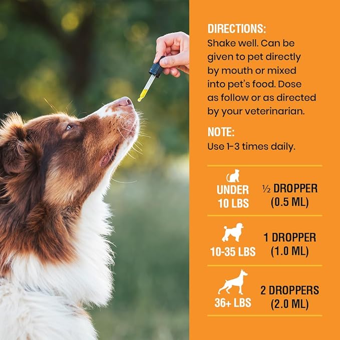 10-in-1 Liquid Multivitamin for Dogs and Cats, 4 Ounce Multi Vitamin Supplement, Vitamin for Dogs, Vitamins for Cats, with Glucosamine & Cranberry, 4 oz