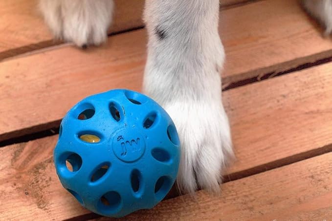 JW Pet Crackle Heads Crackle Ball Crunchy Noise Chew Fetch Toy for Dogs, Assorted Colors, Large 4' Diameter