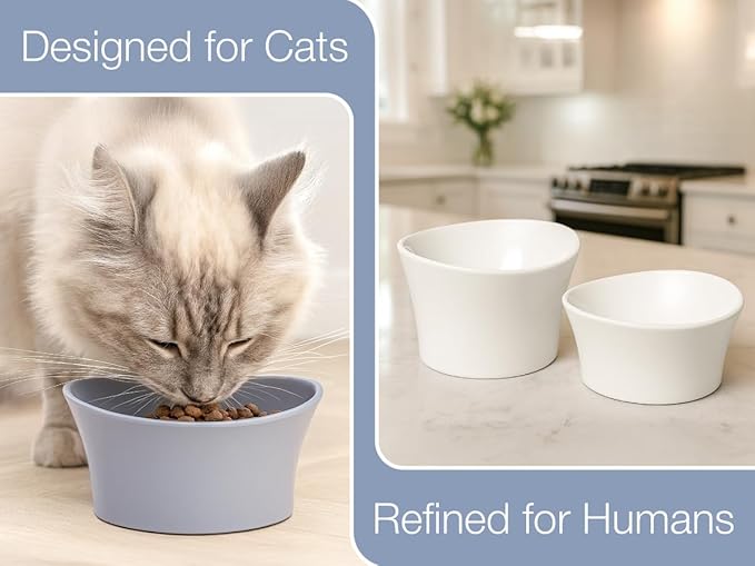 Elevated Cat Bowls for Water – Raised Bowl for Indoor Cats – Whisker Fatigue Shallow Cat Dishes – Vet-Recommended Height & Modern Pedestal Design – Non-Slip & Dishwasher-Safe – 8 oz, White