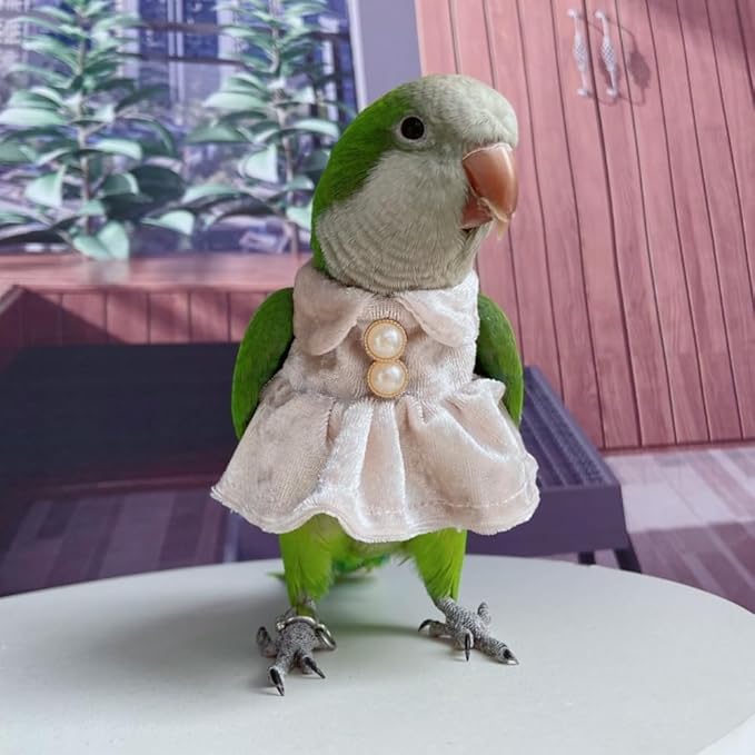 Bird Costume Bird Diaper Flight Suit Parrot Velvet Fleece Skirt Clothes Cosplay Photo Prop for Conure Lovebird Parakeet Cockatiel Macaw Small Animals Apparel (White,Sulphur-Crested Cockatoo)