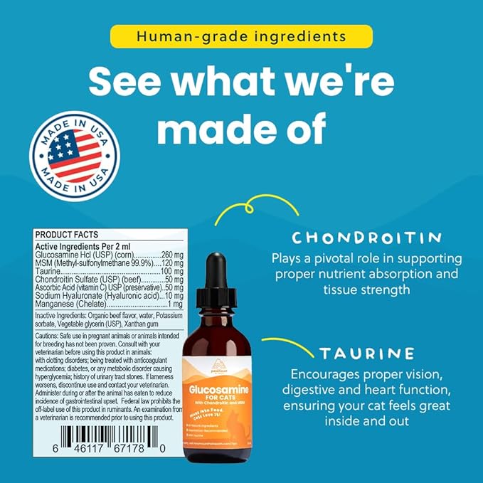 Paramount Pet Health Liquid Glucosamine Chondroitin MSM for Cats, Hip & Joint Support Supplement, Helps Maintain Mobility and Flexibility, Senior Cat Glucosamine Drops for Daily Joint Care, 2 oz