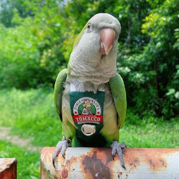 Bird Clothes Parrot diapers bird flight suits, reusable waterproof diapers pet bird supplies (3XL)