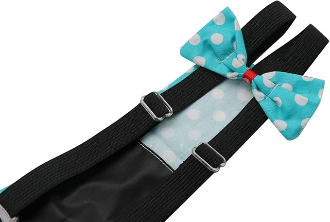 BestParts 3pcs Adjustable Cloth Diaper Wearable Poultry Waterproof Reusable Diapers for Farm Pet Goose/Duck/Chicken Sliding Version (Light Blue+Pink+Blue, S(0.55-1.68pounds))