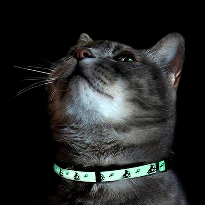 Pawtitas Glow in The Dark Cat Collar with Breakaway Safety Buckle & Bell Adjustable Kitten Collar, Halloween Grey