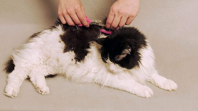 Scaredy Cut Silent Clipper + Dematting Comb Pet Grooming Kit, Blue, Right-Handed 17pc RH + Dematting, Blue