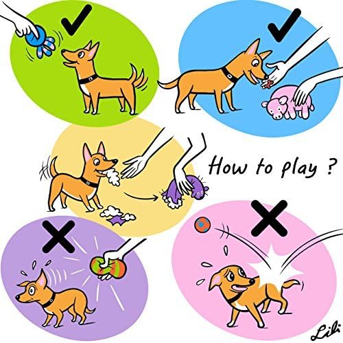 CHIWAVA 4 Pack Squeak Latex Dog Toy Funny Brown Bear Sets Pet Interactive Play for Small Dogs