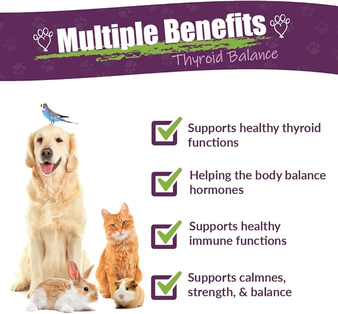 Amber NaturalZ TYD Thyroid Balance Herbal Supplement for Dogs, Cats, Birds, Guinea Pigs, and Rabbits | Herbal Pet Supplement for Thyroid Health | 1 Fluid Ounce Glass Bottle | Manufactured in The USA