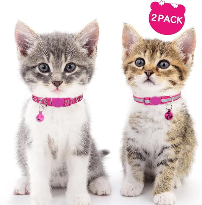 Taglory Kitten Collar Breakaway with Bell, Reflective Soft Cat Collar for Small Kittens, Adjustable 6-8 Inch High Visibility Night Strip, Lightweight for 2-6 Months Baby Cats, 2 Pack, HotPink
