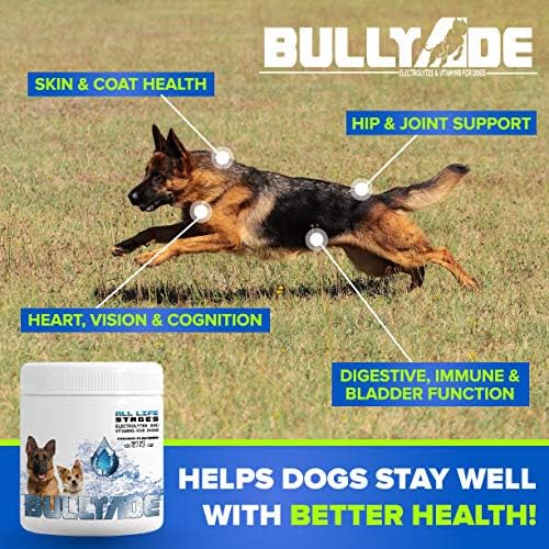 Natural Dog Supplement with 18 Vitamins & Minerals. Mixes with Water or Food. (Chicken)