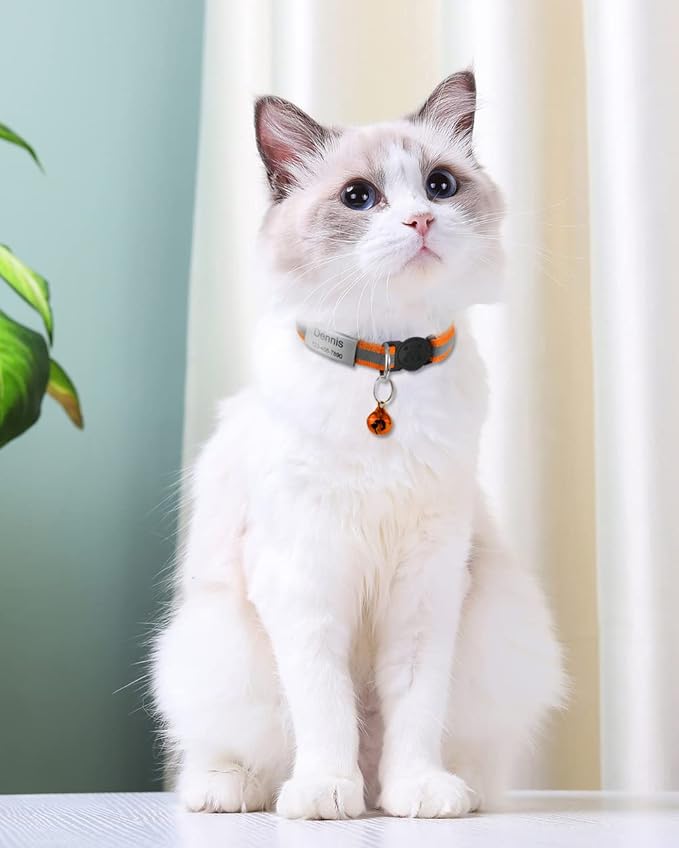 TagME 2 Pack Cat Collar with Name Tag, Personalized Reflective Cat Collar Breakaway with Bell for Boy & Girl Cats, Orange
