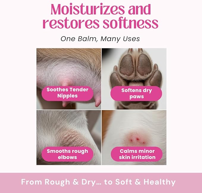 Nipple Soothing Balm for Nursing Dogs & Cats – Lick-Safe, Lanolin-Free, All-Natural Nipple Butter – Soothes Chapped & Cracked Skin – Coconut Oil, Shea Butter, Vitamin E, 2.11 oz