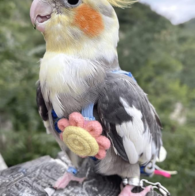 Bird Diaper Harness Flight Suit Clothes with Flying Leash for Parrots Cockatiel Pet Birds, Parrot Clothes, Bird Training Nappy Suit Liners Clothes (Small,Blue)