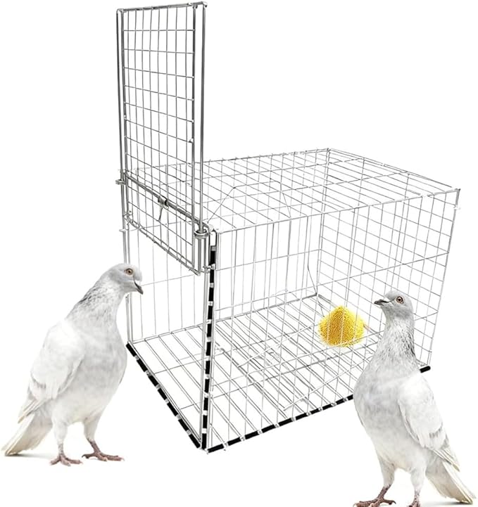 Pigeon Cage,One Way Entry Pigeon Trap, Portable and Easy to Assemble Outdoor Bird Cage with Escape Proof Design Spacious Bird Cage Pigeon Cage Suitable for Parrots