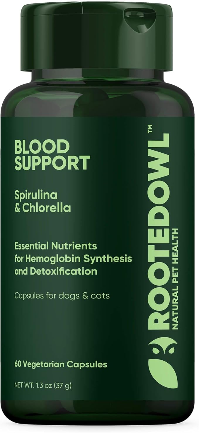 Rooted Owl Blood Support - Immunity, Recovery and Iron Supplement for Dogs & Cats - Anemia Support with Spirulina and Chlorella - 60/ct Vegan Capsules