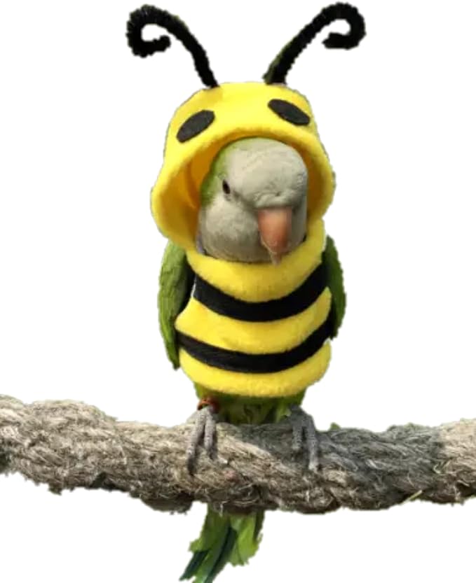 Bird Costume Diaper Flight Suit Bee Shape Clothes Cosplay Photo Prop for Parrots Lovebird Budgie Parakeet Cockatiel Sun Conure, Small Animals Apparel (Bee Without Diaper, Medium), Green (BPF1)
