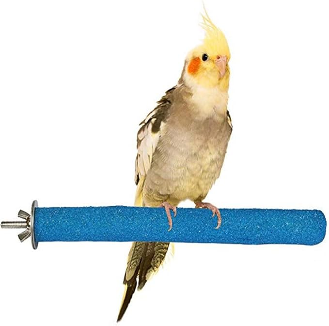 PINVNBY Stainless Steel Bowls for Birds,Parrot Feeding Dish Cups Parakeet Food Water Dishes with Clamp Holder Perches for Cockatiel Budgies Macaw Small Animal Chinchilla(5 Pack)